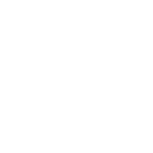Full Motors Logo